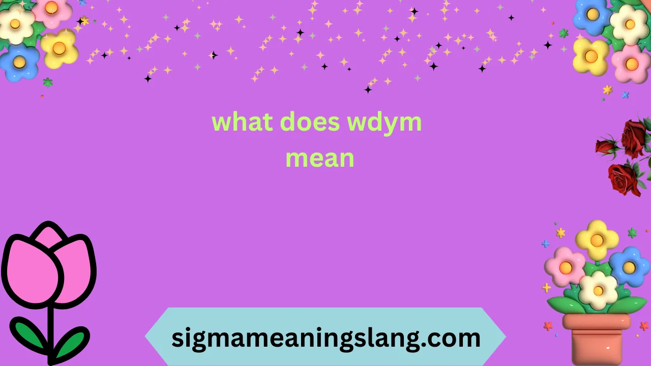 what does wdym mean