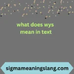 what does wys mean in text