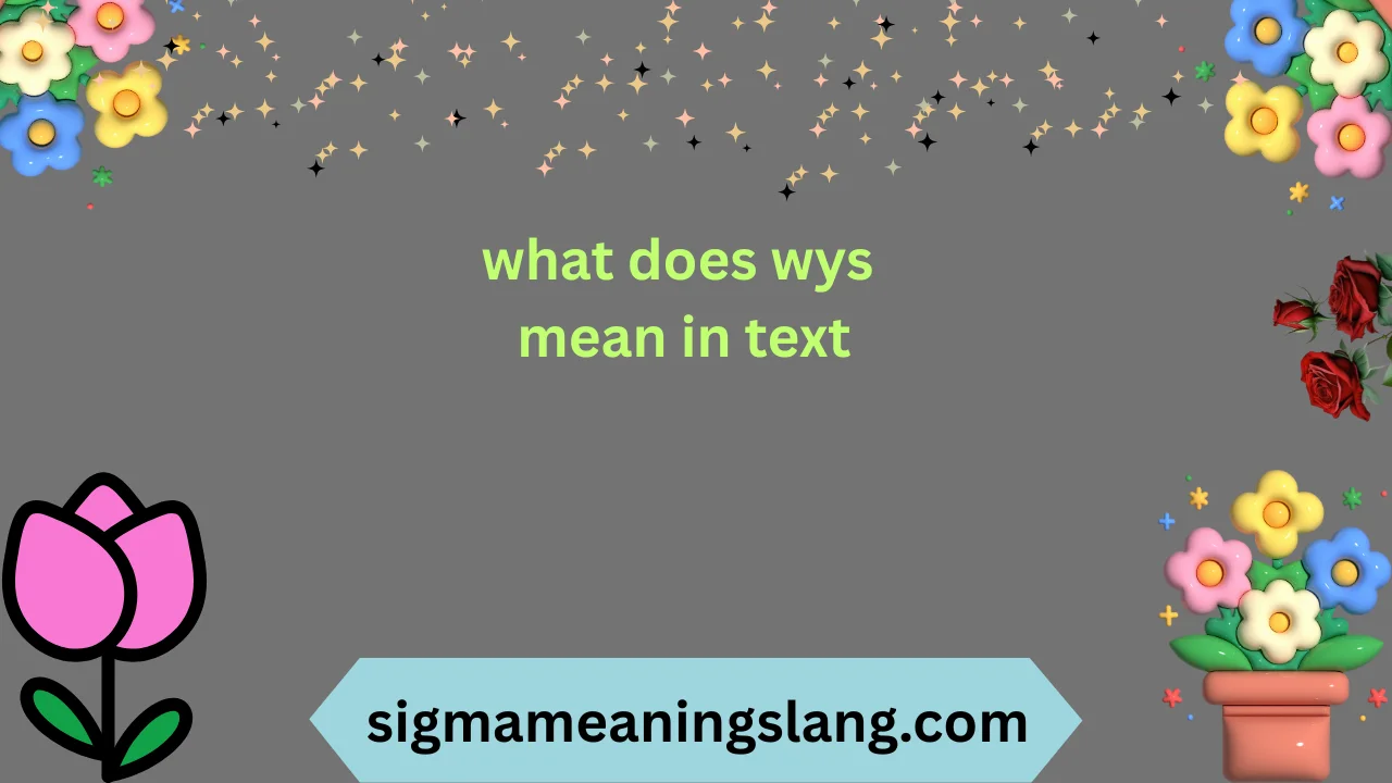 what does wys mean in text
