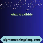 what is a diddy