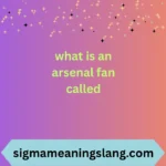 what is an arsenal fan called