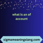 what is an of account