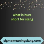 what is huzz short for slang