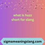 what is huzz short for slang