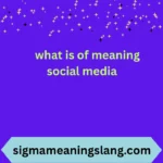 what is of meaning social media