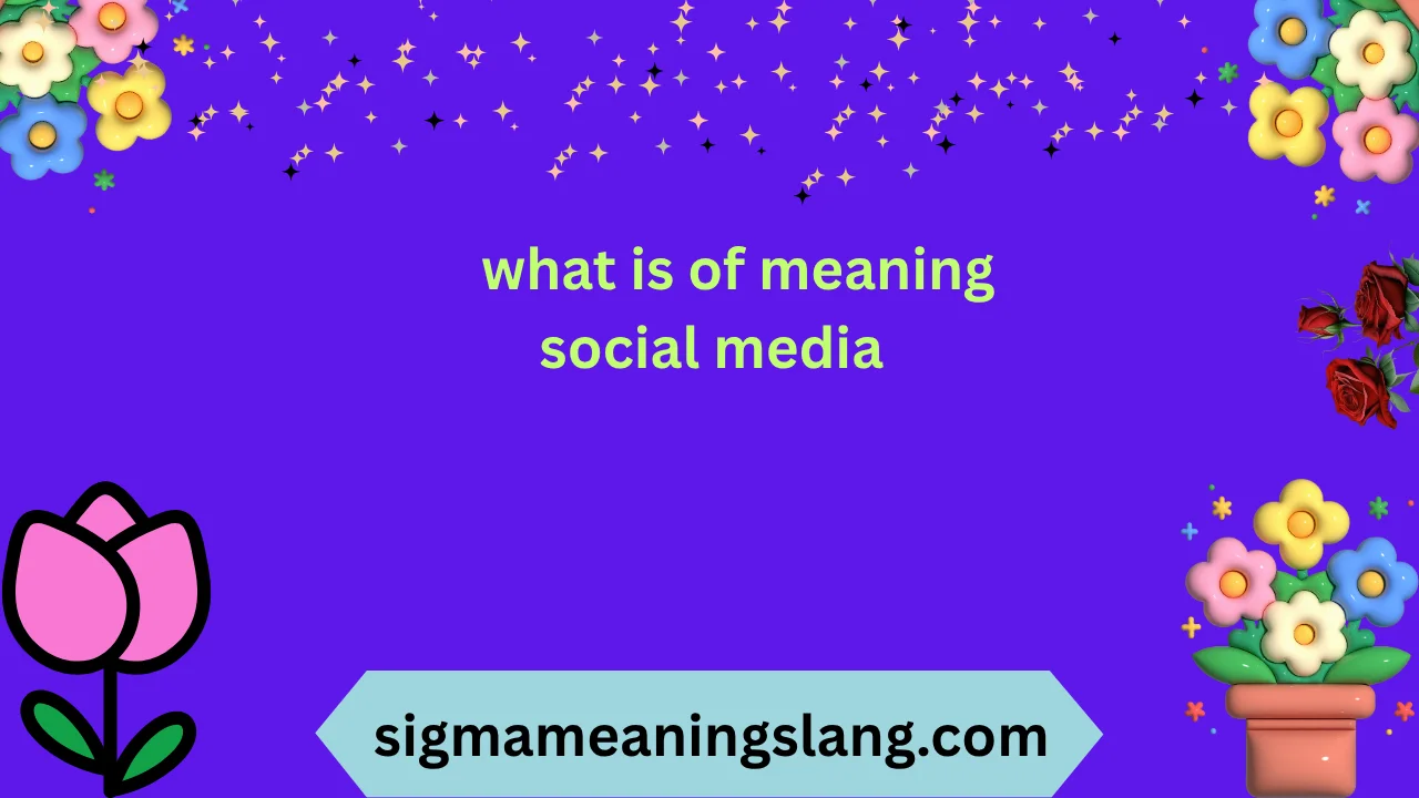 what is of meaning social media