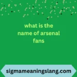 what is the name of arsenal fans