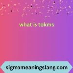 what-is-tokms