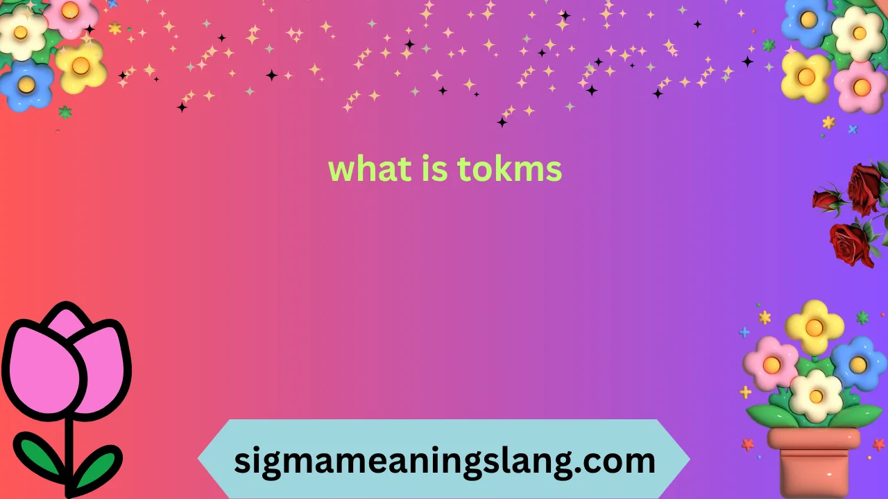what-is-tokms