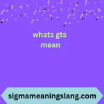 whats gts mean