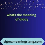 whats the meaning of diddy
