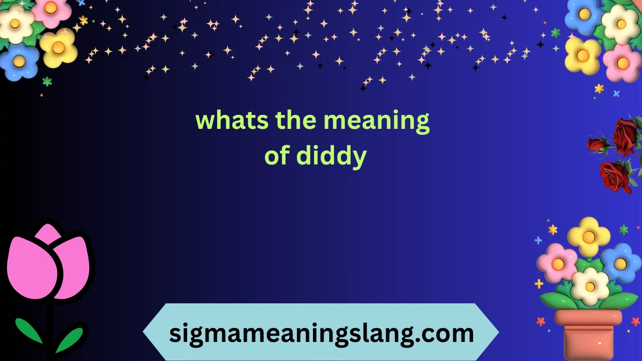 whats the meaning of diddy
