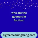who are the gooners in football