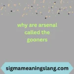 why are arsenal called the gooners