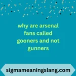 why are arsenal fans called gooners and not gunners