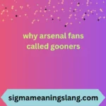 why arsenal fans called gooners