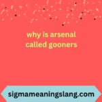 why is arsenal called gooners