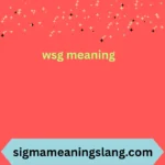 wsg meaning