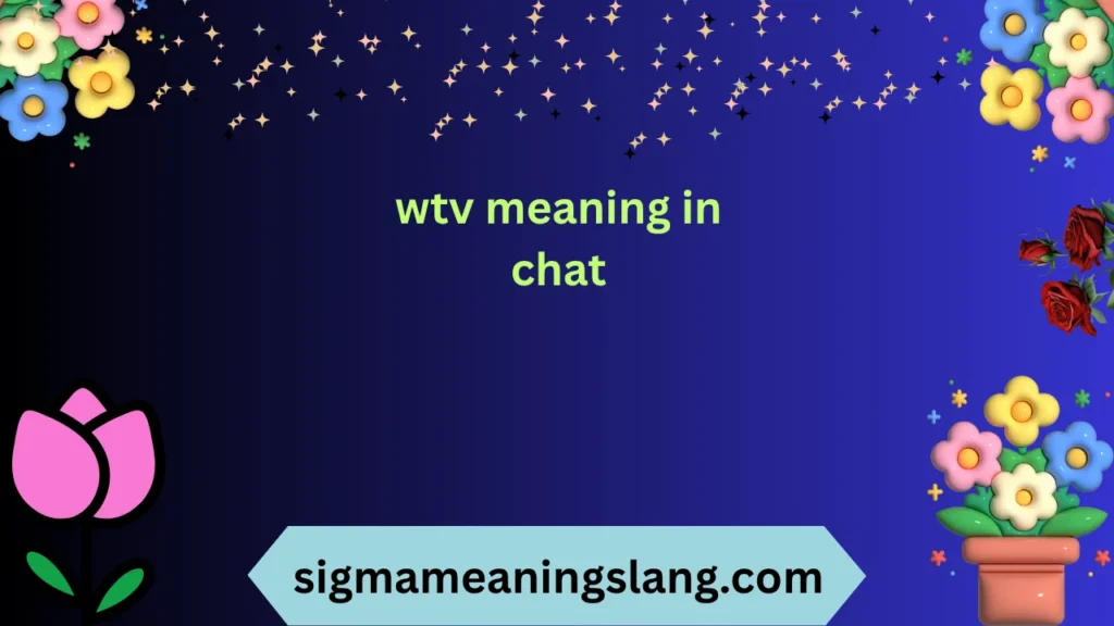 wtv meaning in chat