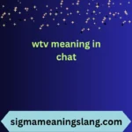 wtv meaning in chat