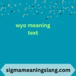 wyo meaning text