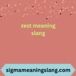 zest meaning slang