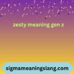 zesty meaning gen z