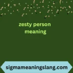 zesty person meaning