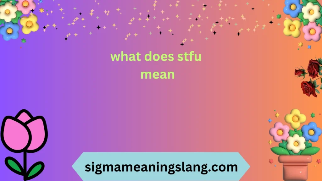 what does stfu mean