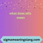 what does stfu mean