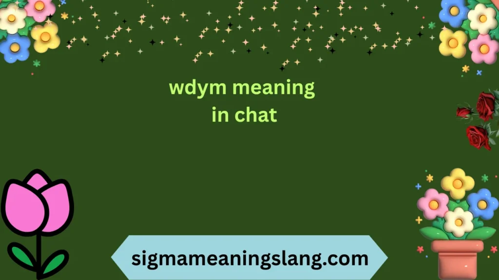 wdym meaning in chat