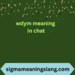 wdym meaning in chat