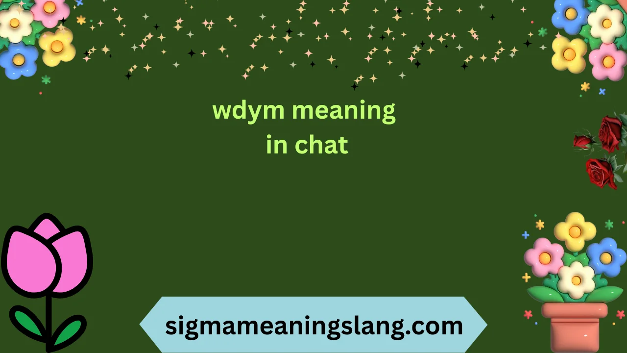 wdym meaning in chat