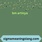 bm artinya