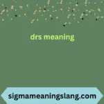 drs meaning