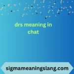 drs meaning in chat