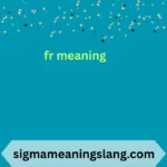 fr meaning
