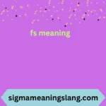 fs meaning