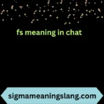 fs meaning in chat