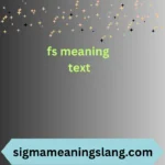 fs meaning text