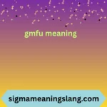 gmfu meaning