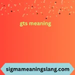 gts meaning