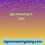 gts meaning in text