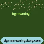 hg meaning