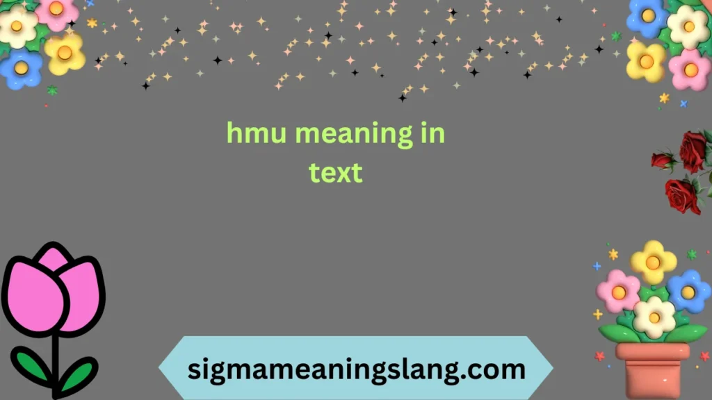 hmu meaning in text