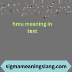 hmu meaning in text