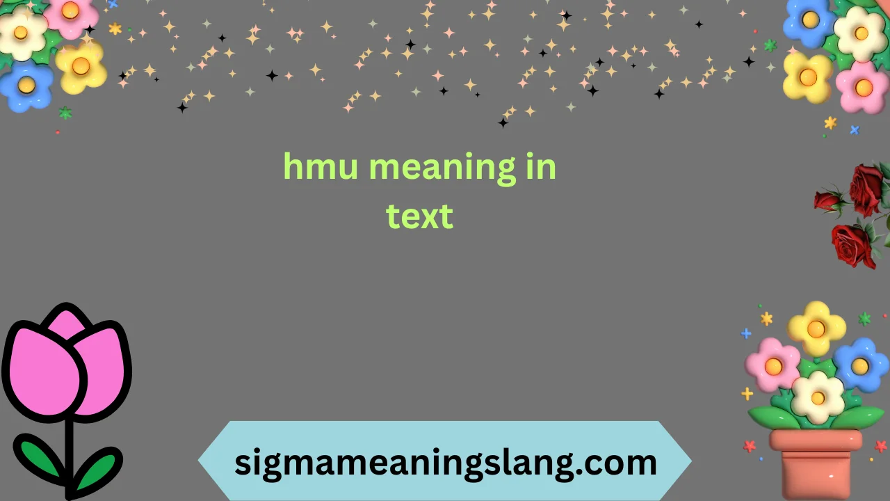 hmu meaning in text
