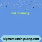 imo meaning