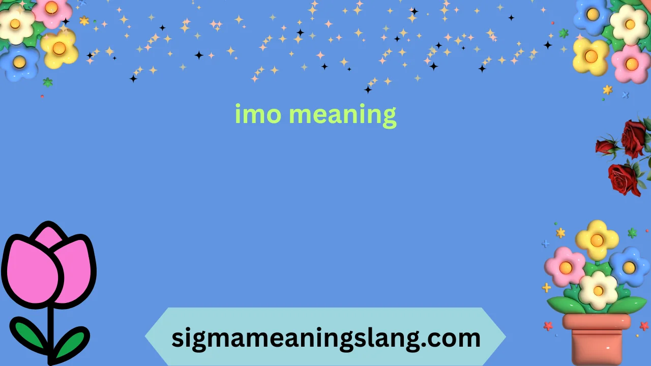 imo meaning