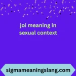 joi meaning in sexual context